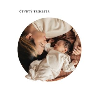 Porod často vnímáme jako „konec“ těhotenství, ale pro miminko je to teprve začátek adaptace na svět. 👶 Prvních 12 týdnů...